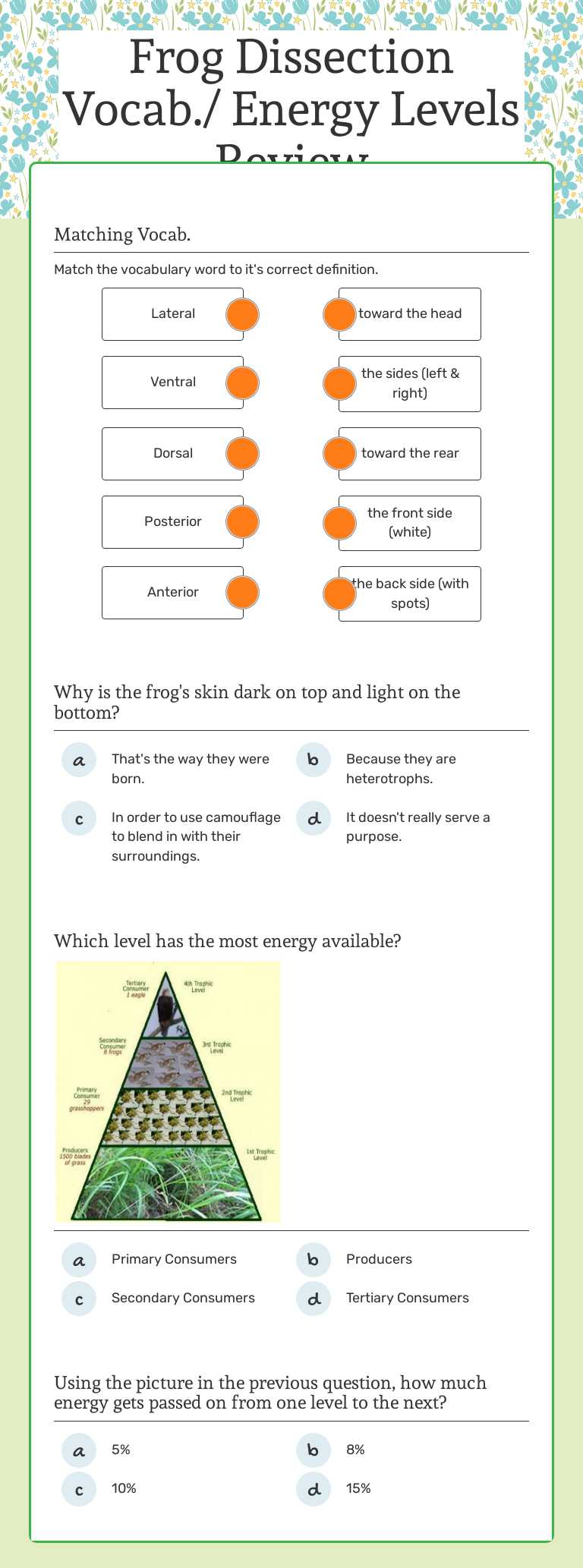 Frog Dissection Vocab./ Energy Levels Review worksheet preview image