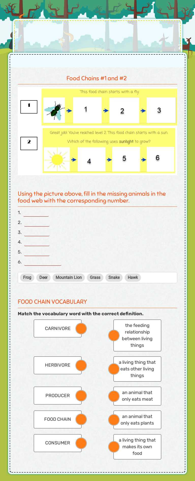 Food Chain
QUIZ Grade 2 worksheet preview