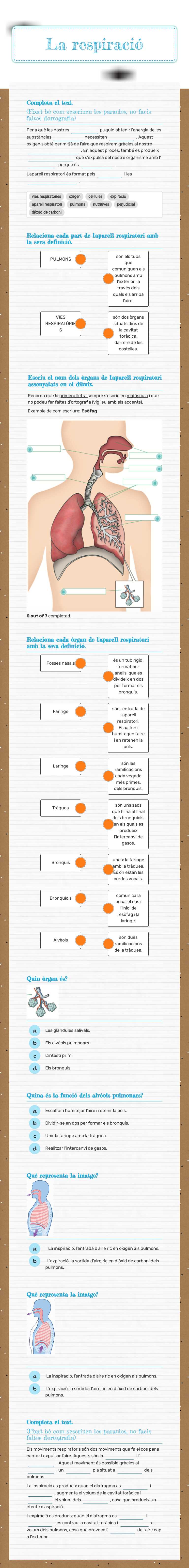 La respiració worksheet preview image