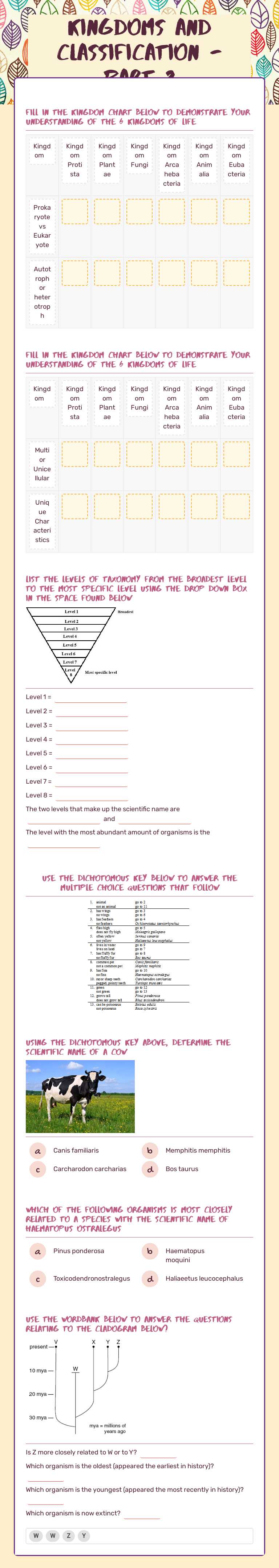 Kingdoms and Classification - Part 2 worksheet preview image