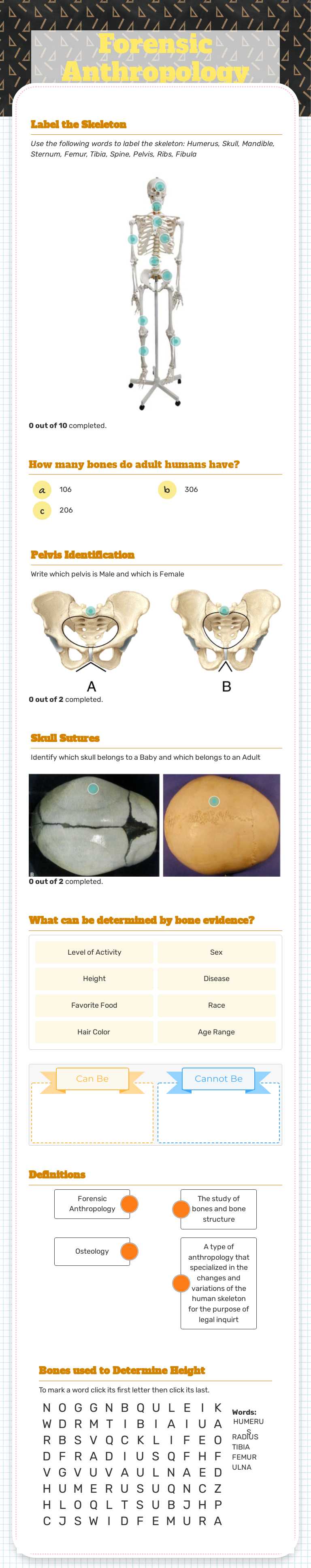 Forensic Anthropology worksheet preview image