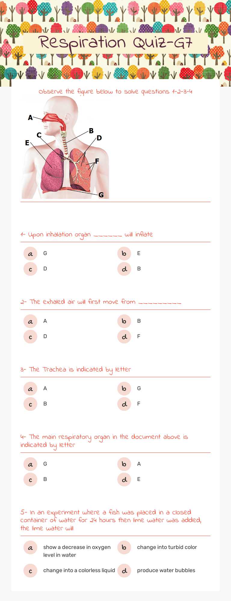 Respiration Quiz-G7 worksheet preview image