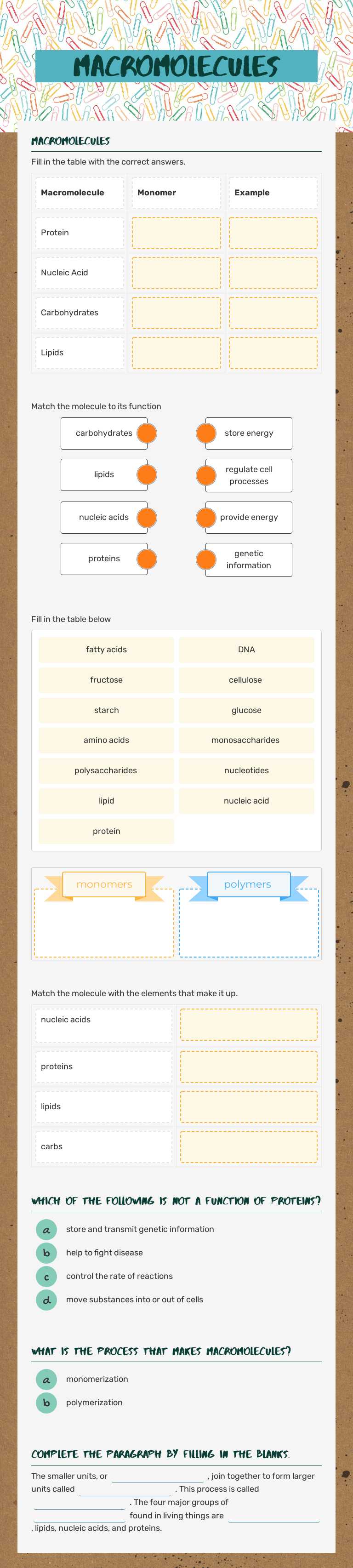 Macromolecules worksheet preview image