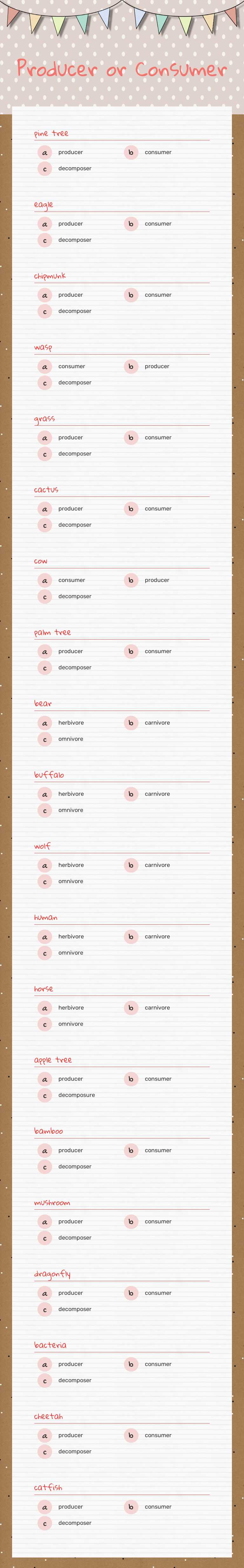 Producer or Consumer worksheet preview image
