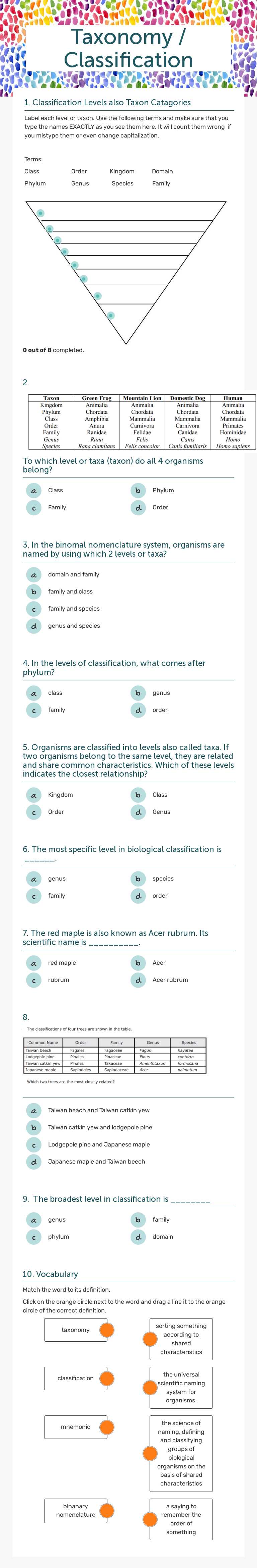 Taxonomy / Classification worksheet preview image