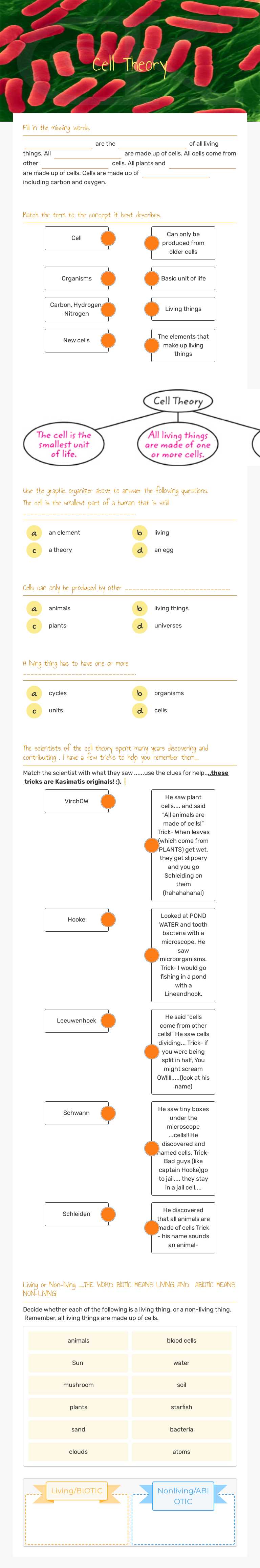 Cell Theory worksheet preview image