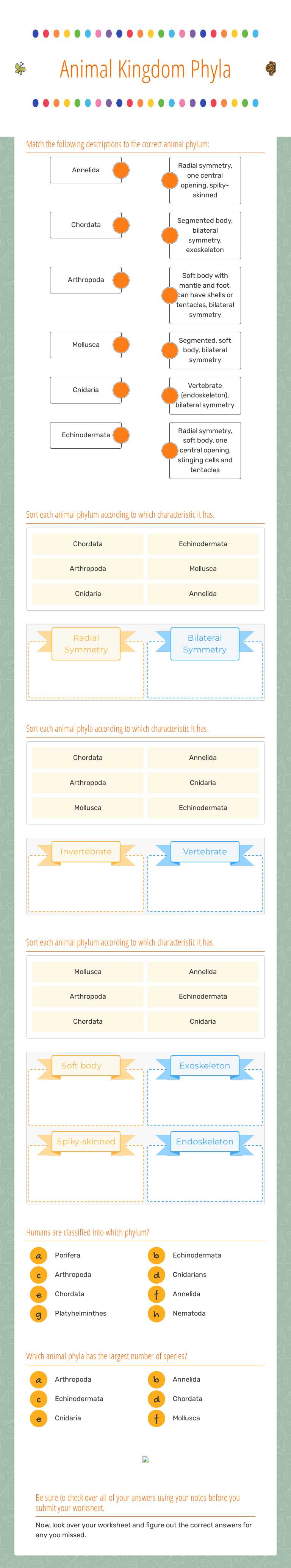 Animal Kingdom Phyla worksheet preview image
