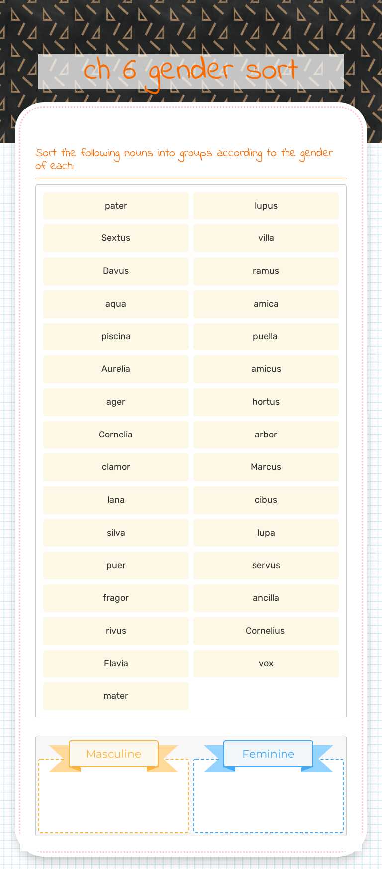 ch 6 gender sort worksheet preview image