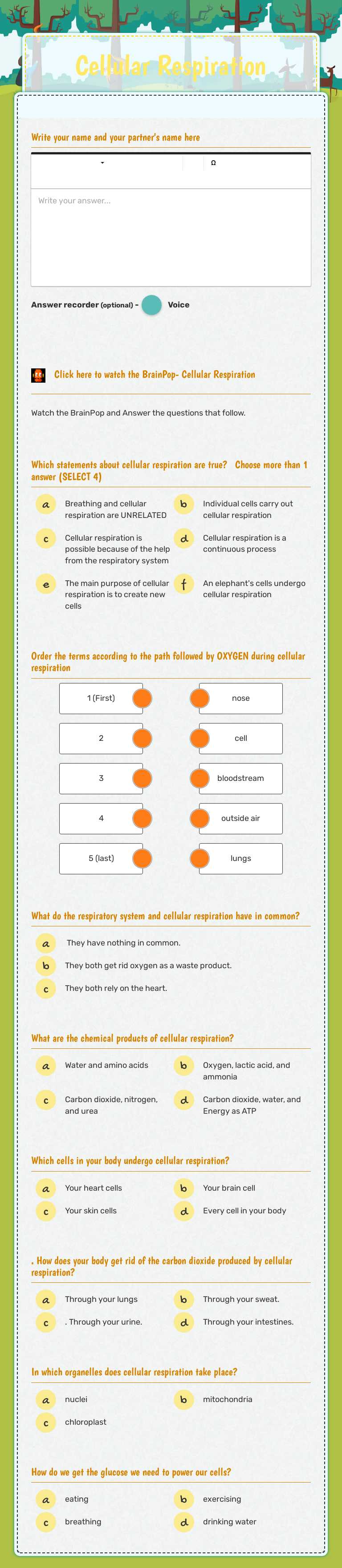 Cellular Respiration worksheet preview