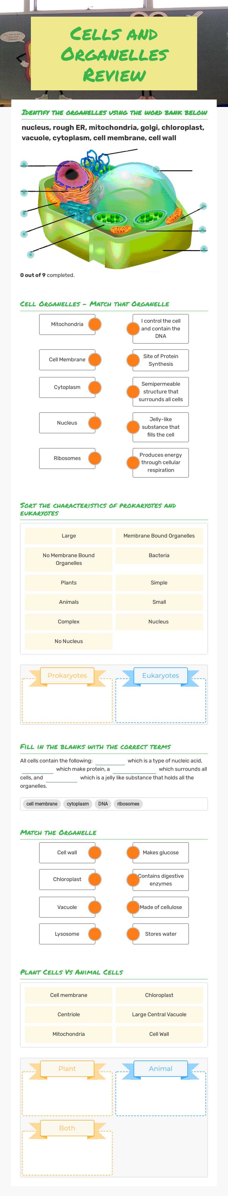Cells and Organelles Review Grade 8 worksheet preview