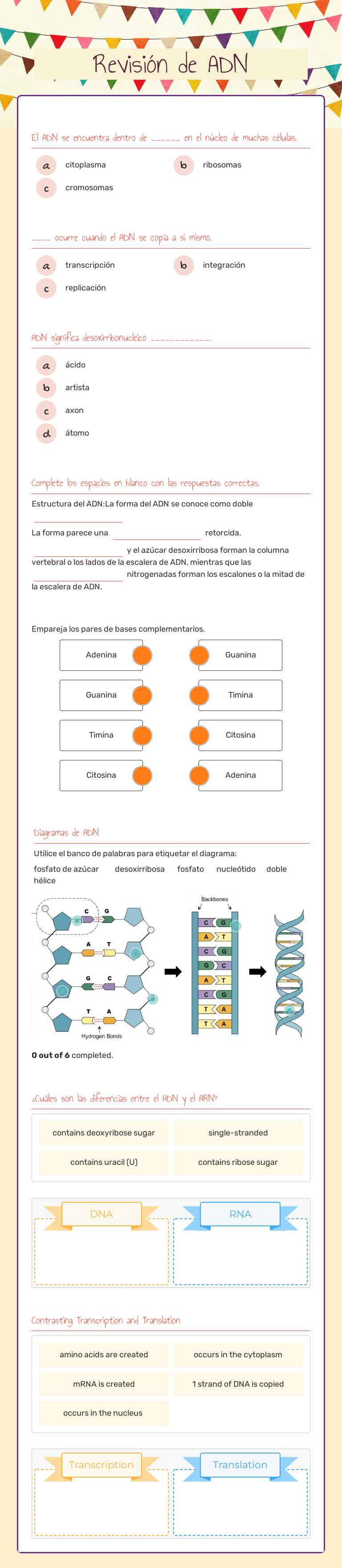 Revisión de ADN worksheet preview image