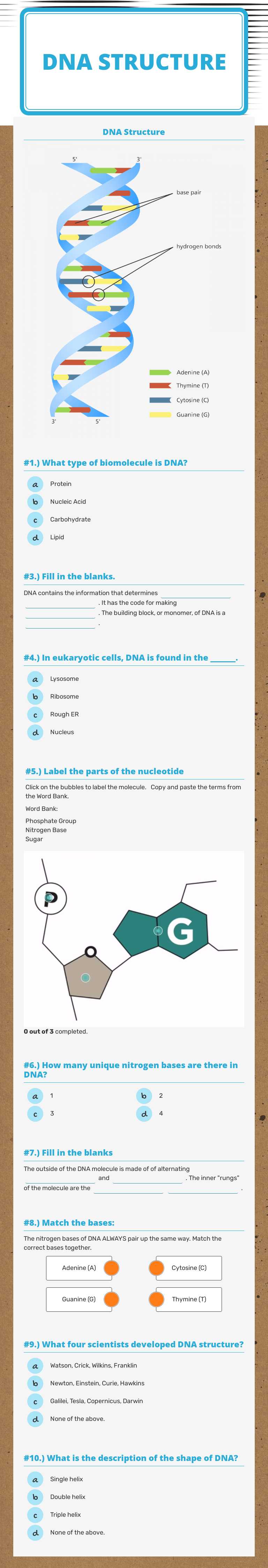 DNA Structure by Megan Callahan | Interactive Worksheet | Wizer.me