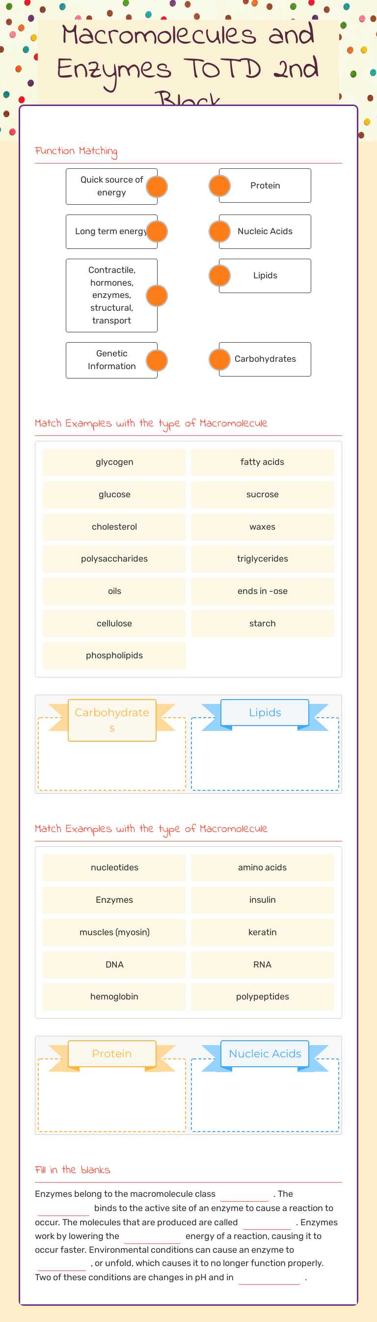Macromolecules and Enzymes TOTD 2nd Block worksheet preview image