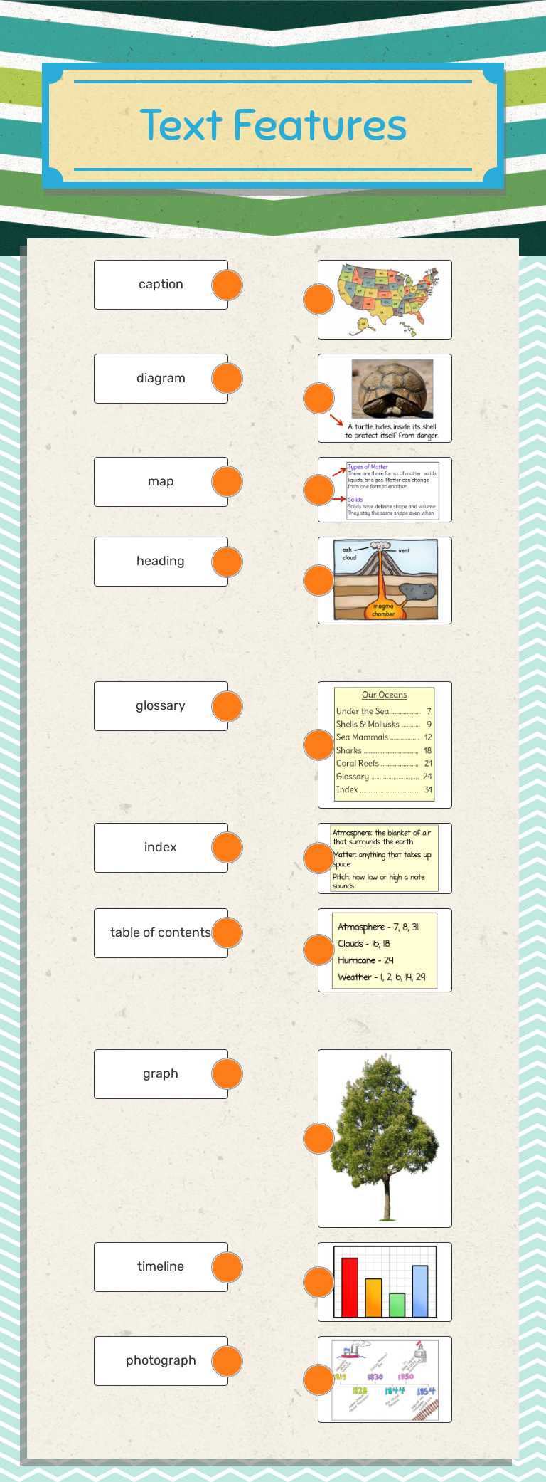 Text Features Grade 3 worksheet preview