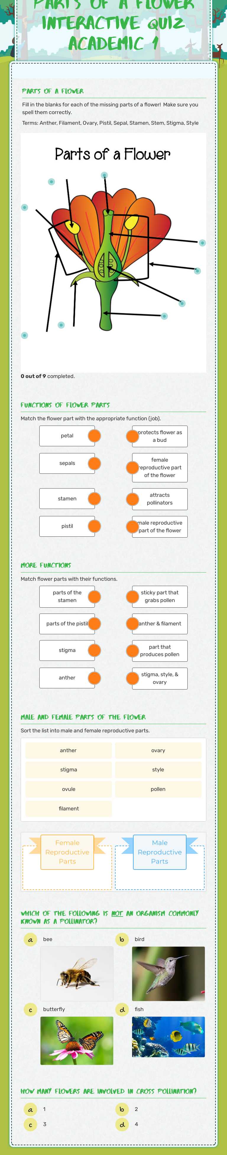 Parts of a flower Interactive Quiz Academic 1 worksheet preview image