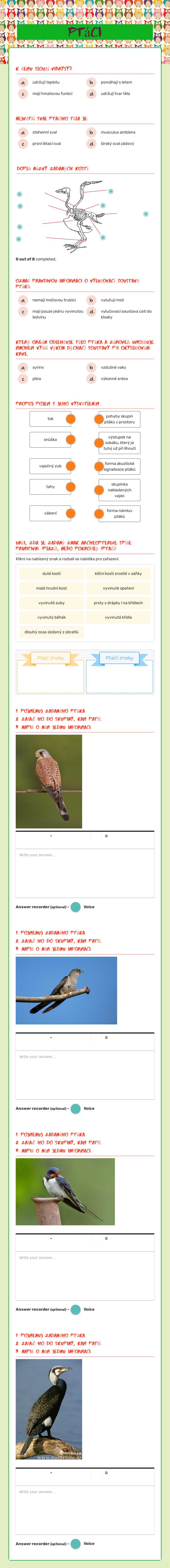 Ptáci worksheet preview image