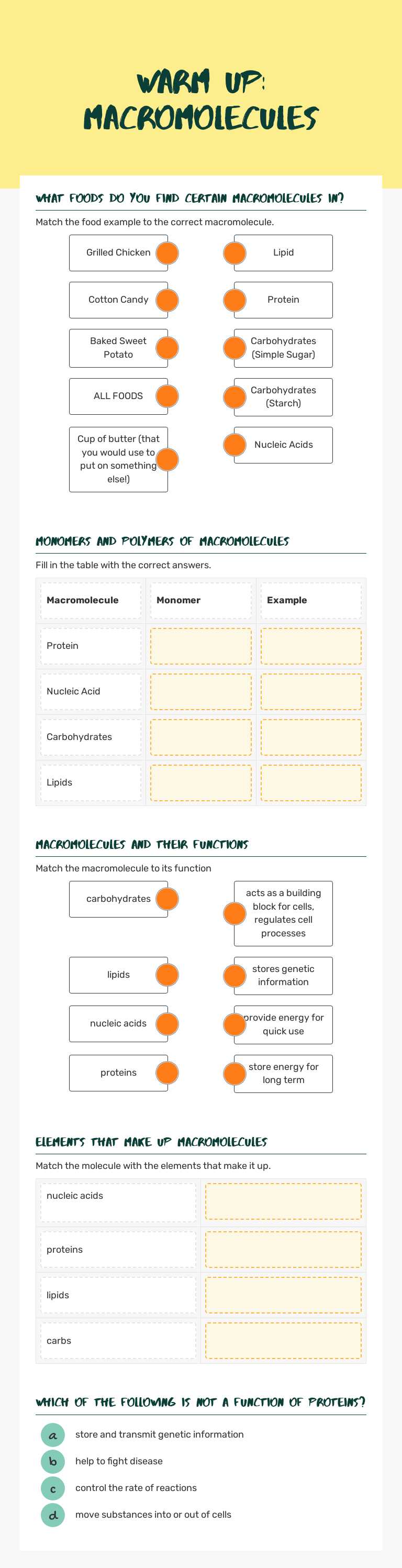 Warm Up: Macromolecules worksheet preview image