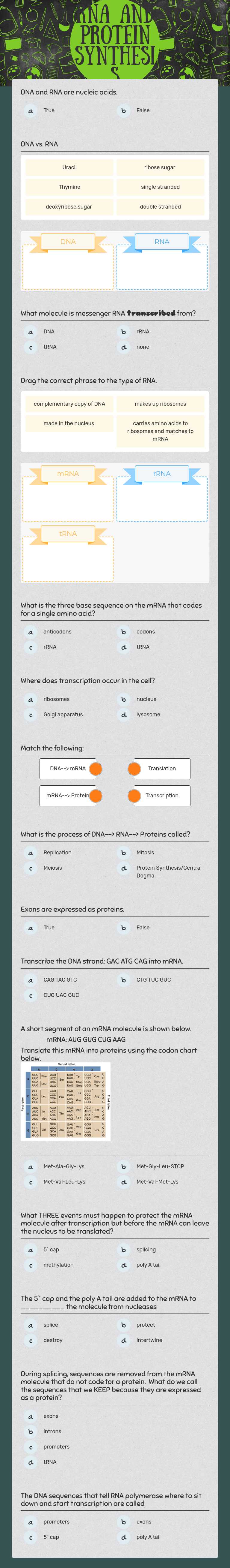 RNA and Protein Synthesis worksheet preview image