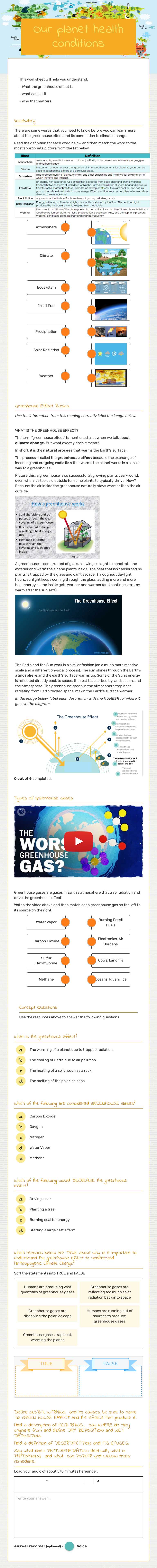 Our planet health conditions worksheet preview image