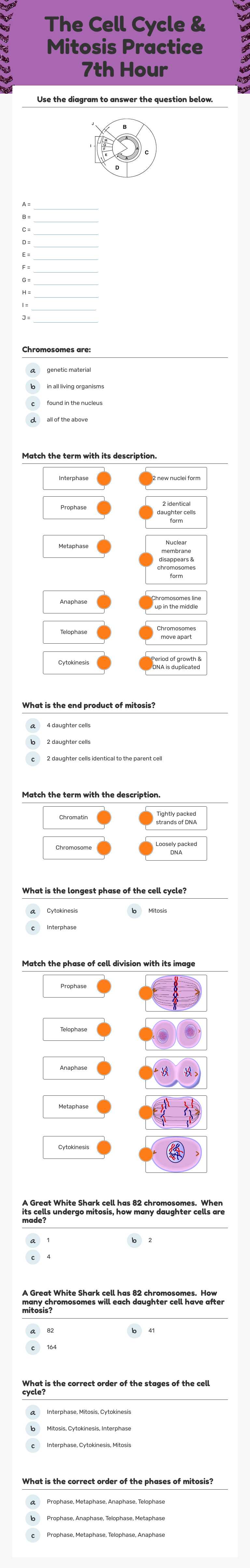 The Cell Cycle & Mitosis Practice 7th Hour worksheet preview image