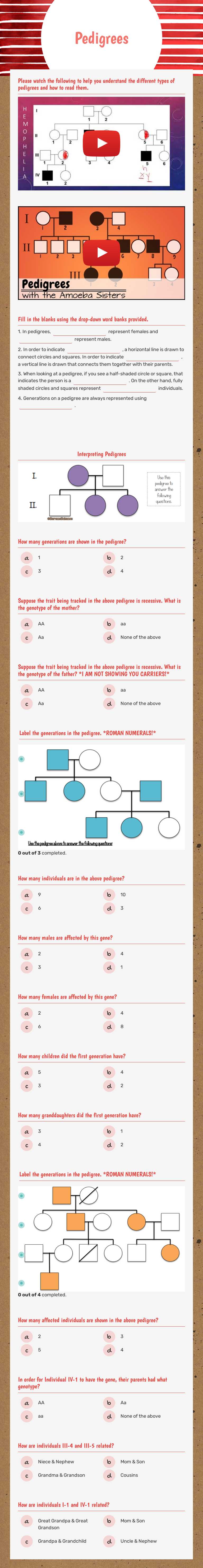 Pedigrees worksheet preview image