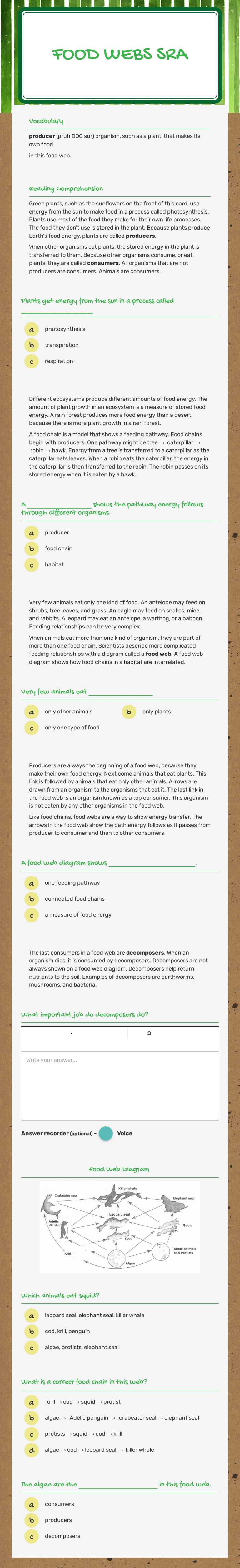 Food Webs SRA worksheet preview image