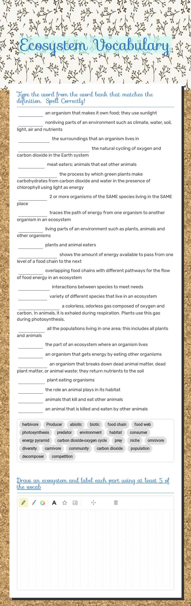 Ecosystem Vocabulary worksheet preview image
