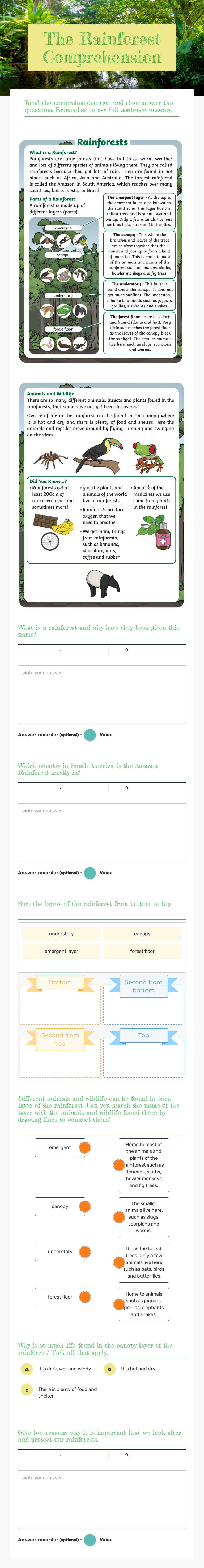 The Rainforest Comprehension Grade 3 worksheet preview