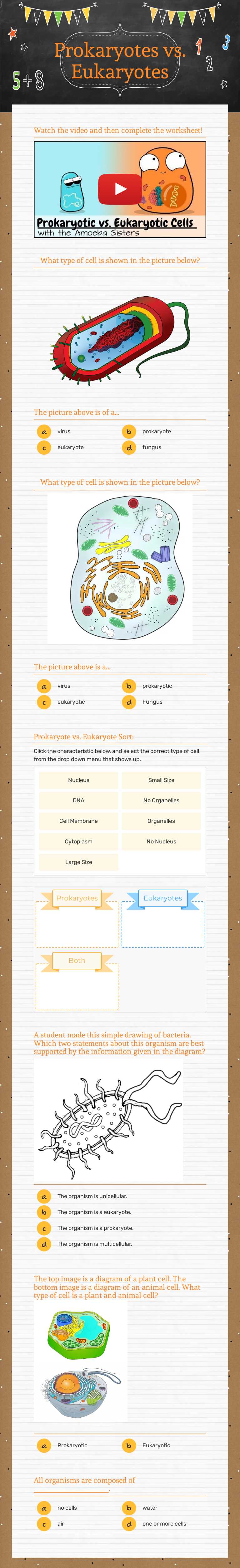 Prokaryotes vs. Eukaryotes Grade 6 worksheet preview