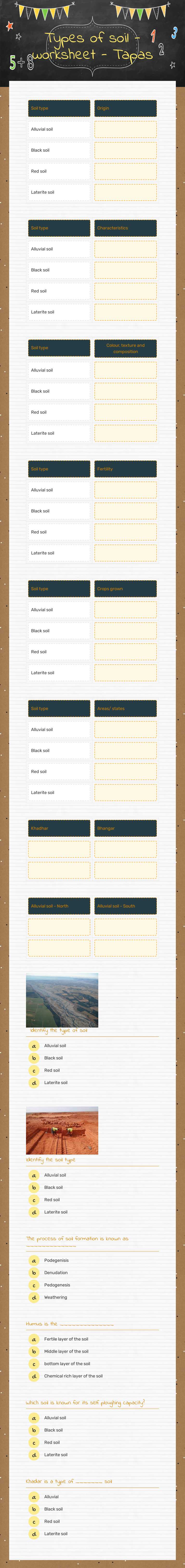 Types of soil - worksheet - Tapas worksheet preview image