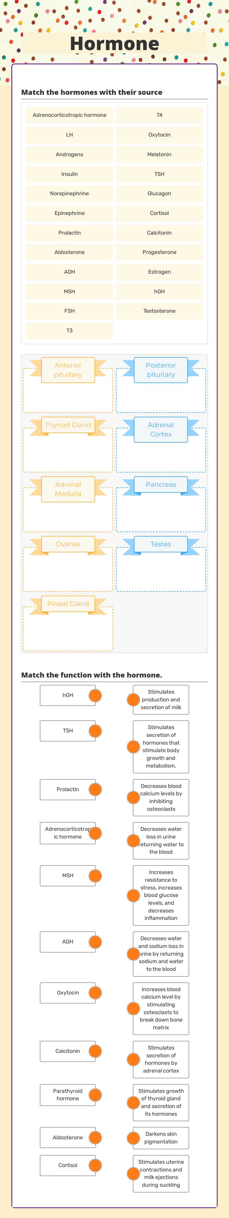 Hormone Other worksheet preview