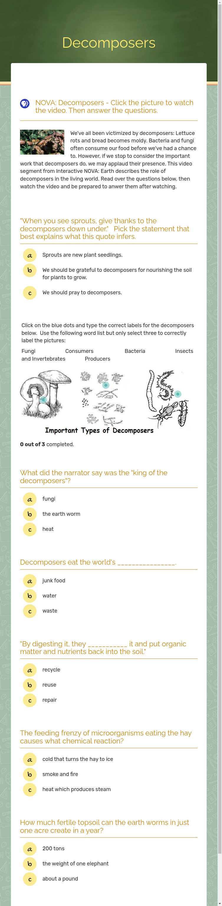 Decomposers Grade 4 worksheet preview