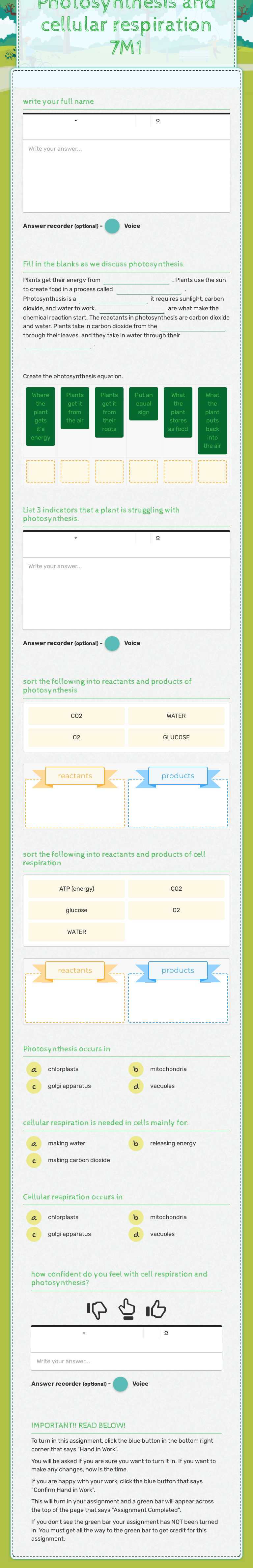 Photosynthesis and cellular respiration 7M1 worksheet preview image
