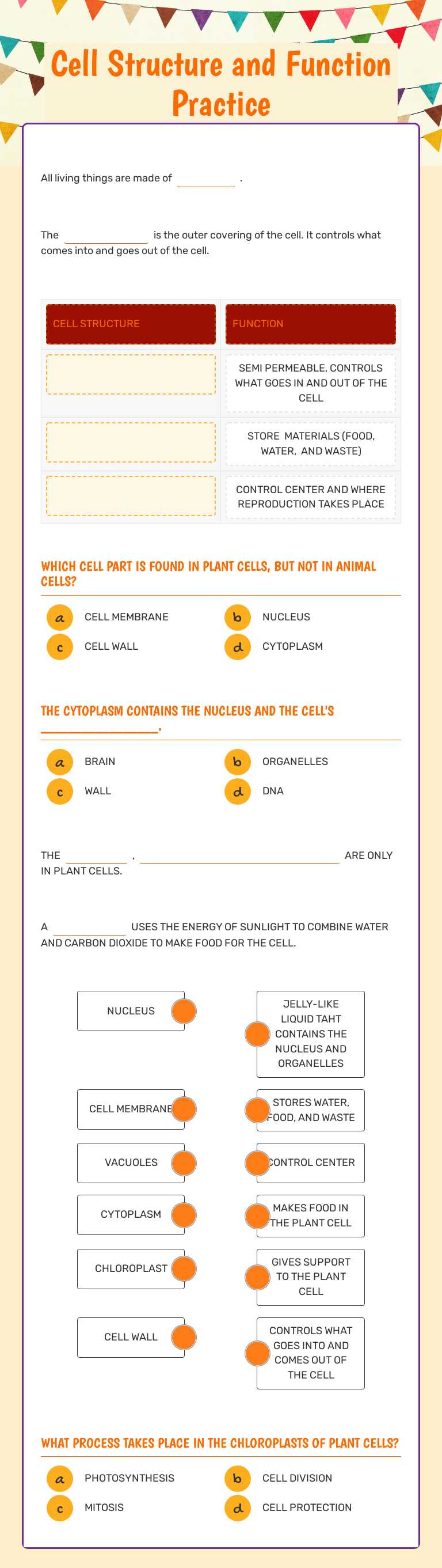 Cell Structure and Function Practice worksheet preview image