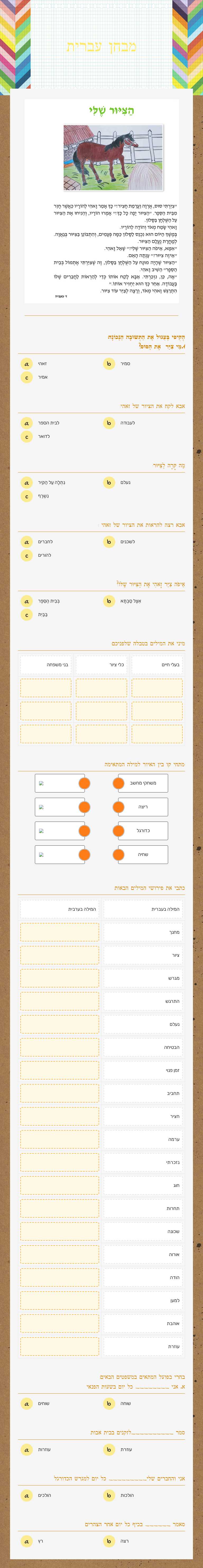 מבחן עברית worksheet preview image