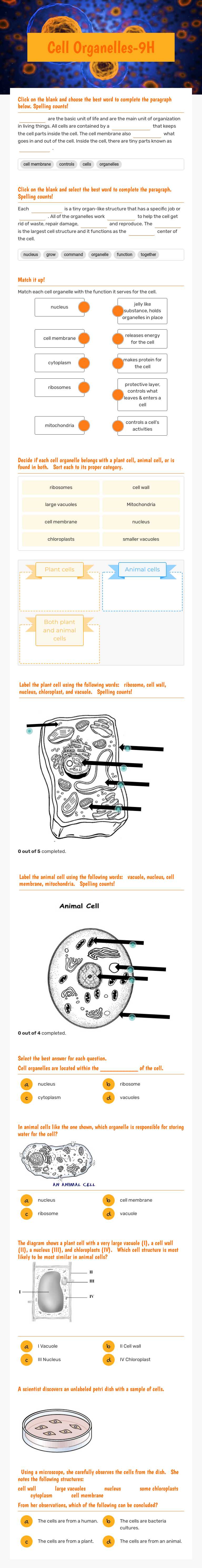 Cell Organelles-9H worksheet preview image