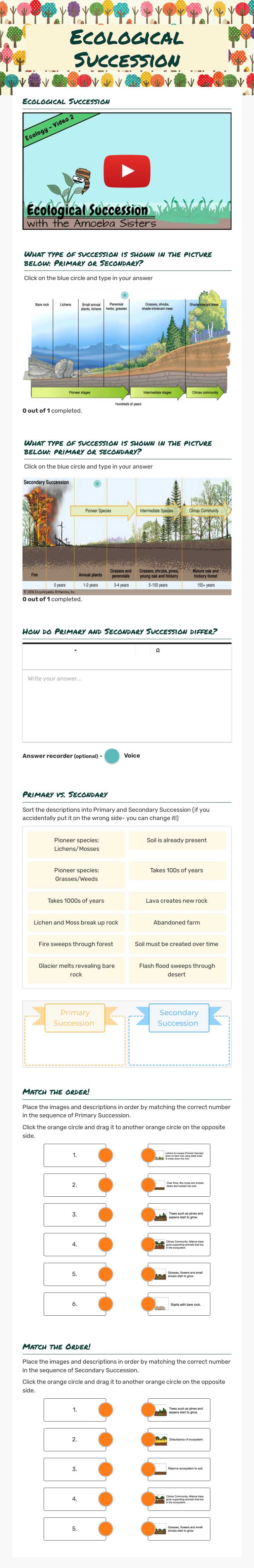 Ecological Succession worksheet preview image