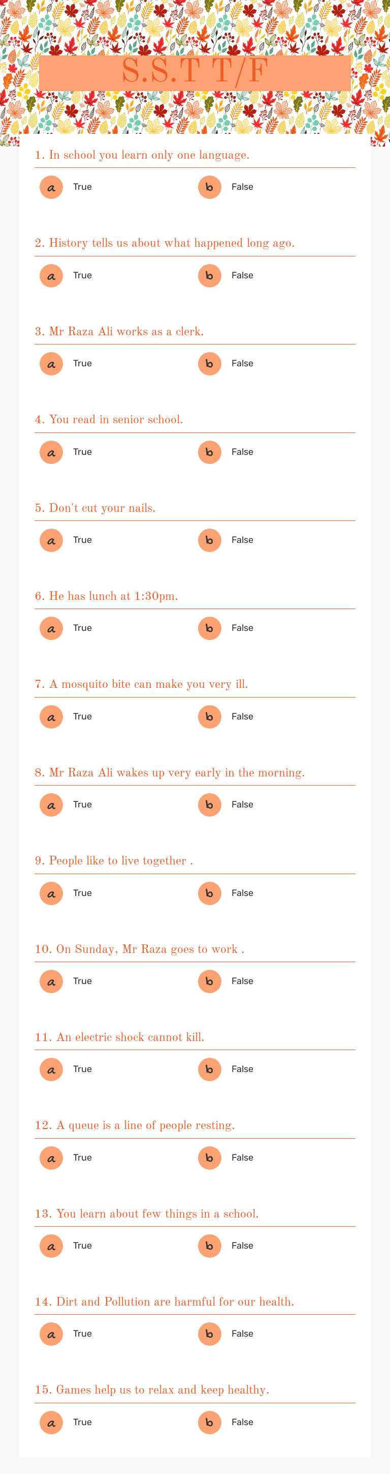 S.S.T     T/F Grade 2 worksheet preview