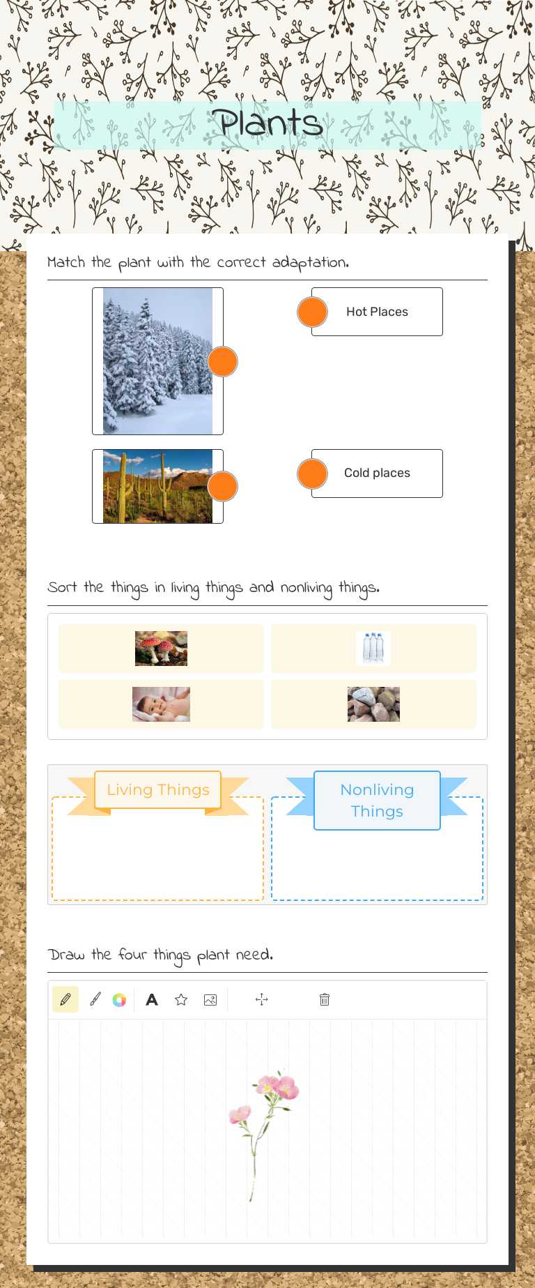 Plants worksheet preview image