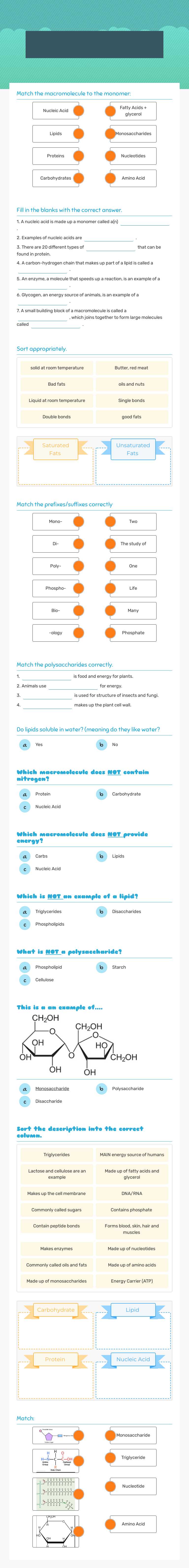 Macromolecules Practice worksheet preview image