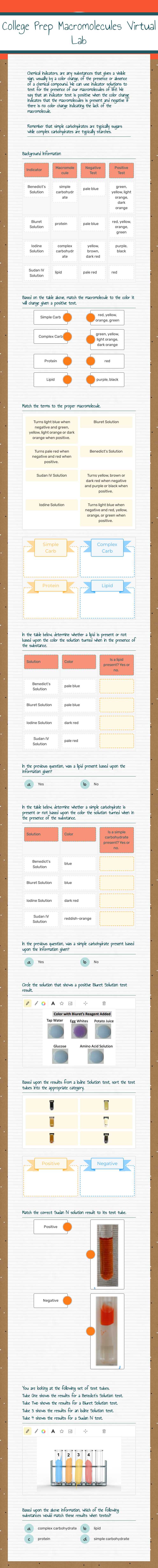 College Prep Macromolecules Virtual Lab worksheet preview image