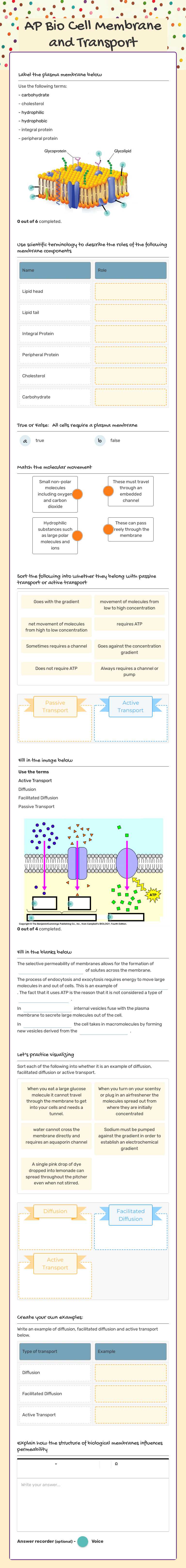 AP Bio Cell Membrane and Transport worksheet preview