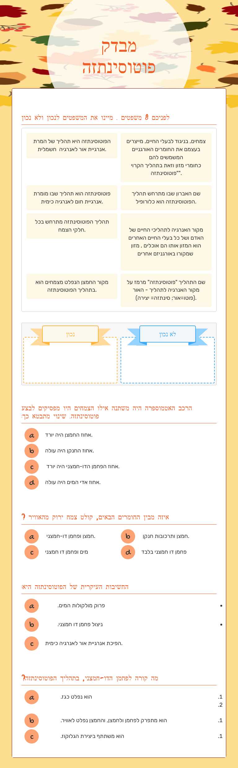 מבדק פוטוסינתזה worksheet preview image