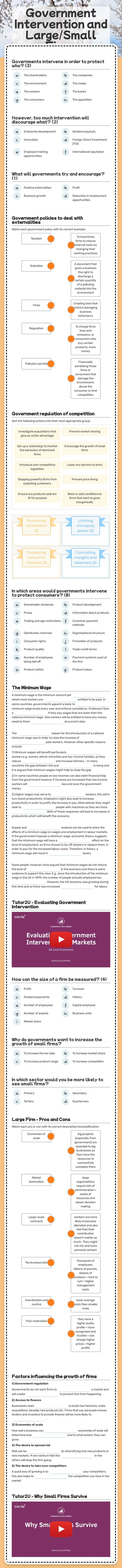 Government Intervention and Large/Small Firms worksheet preview image
