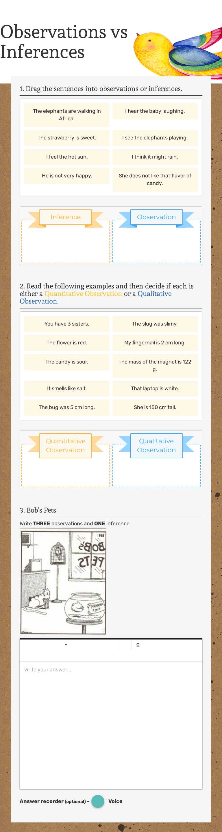 Observations vs Inferences Grade 6 worksheet preview