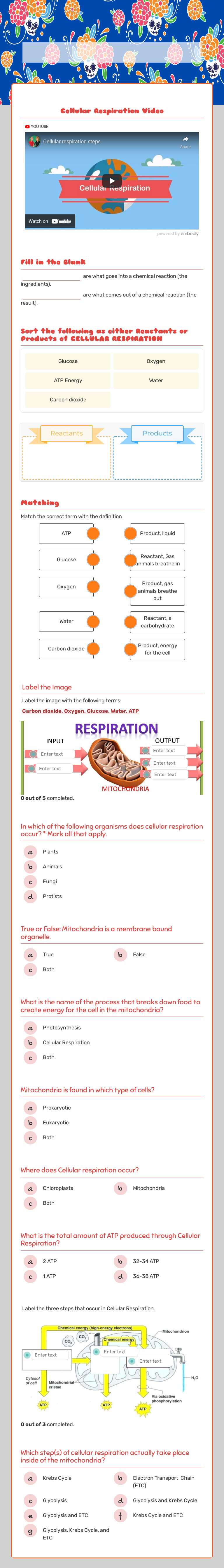 Cellular Respiration worksheet preview image