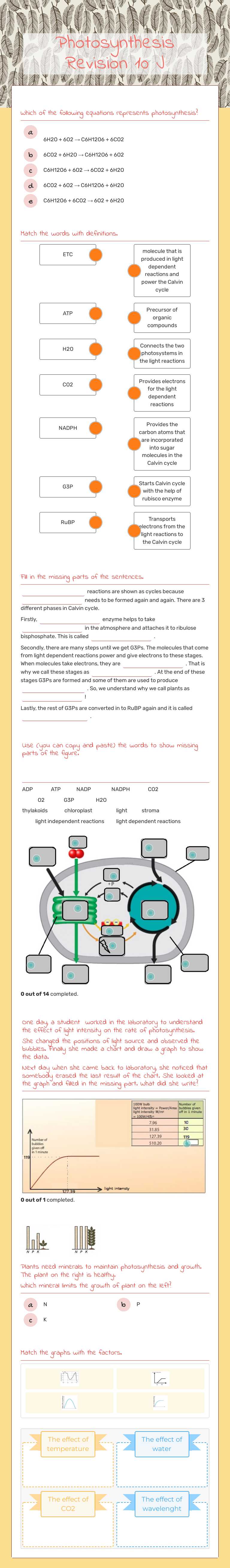 Photosynthesis Revision 10 J worksheet preview image
