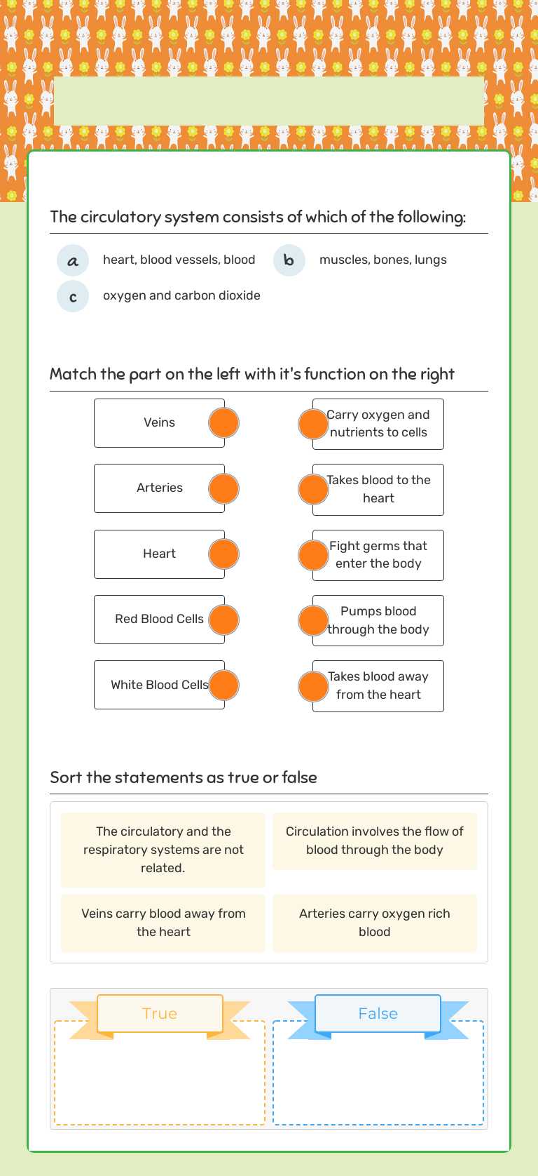 The Circulatory System Grade 5 worksheet preview