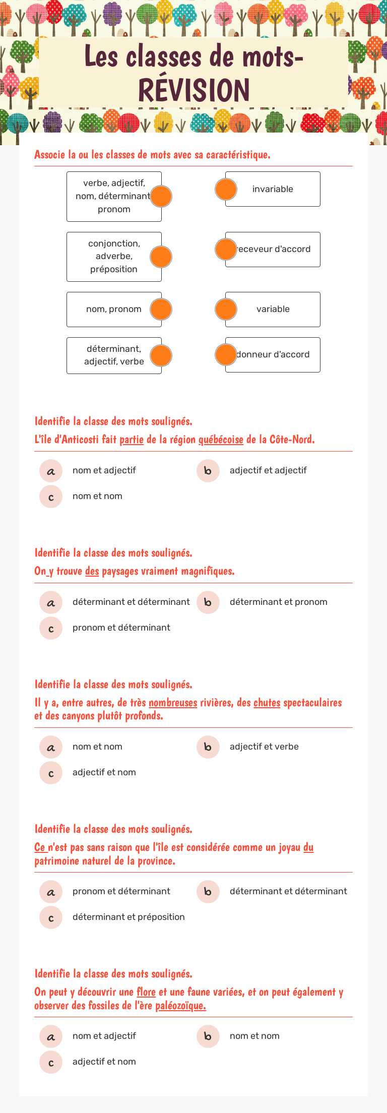 Les classes de mots- RÉVISION worksheet preview image