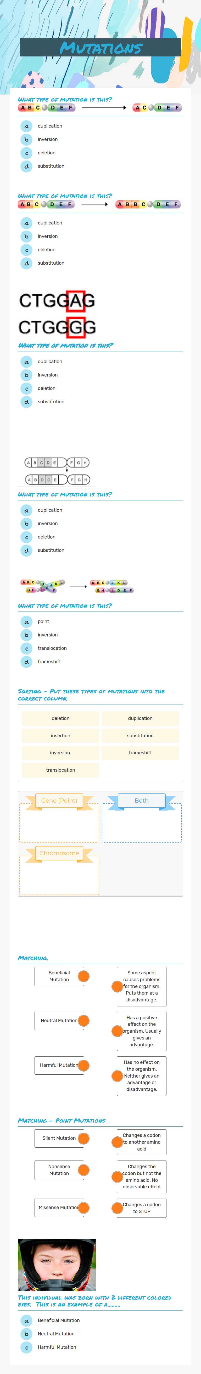 Mutations worksheet preview image